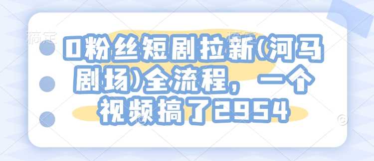 河马剧场短剧推广全流程，单视频收益2954元-无双副业