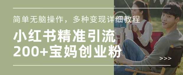 小红书混剪引流宝妈创业粉，多种变现方式详解-无双副业