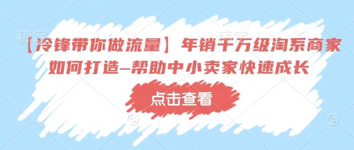 年销千万级淘系商家打造秘籍，助力中小卖家快速成长-无双副业