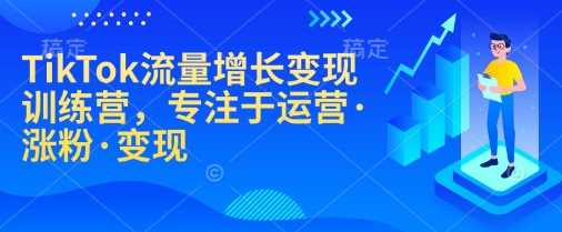 TikTok流量增长与变现实战训练营-无双副业