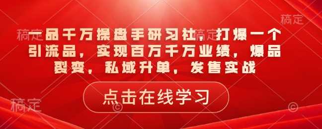 打爆引流品实现百万千万业绩的操盘手研习社-无双副业