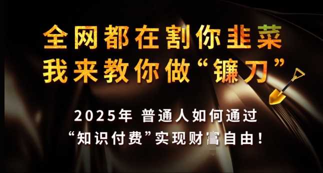 2025年普通人如何通过知识付费实现财富自由-无双副业
