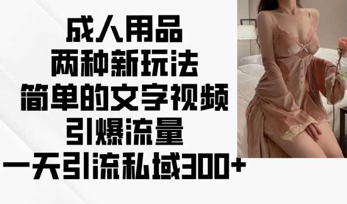 成人用品新玩法：文字视频与图文引流技巧-无双副业