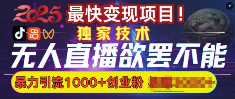 无人直播引流技巧，日引1000+高质量创业粉-无双副业