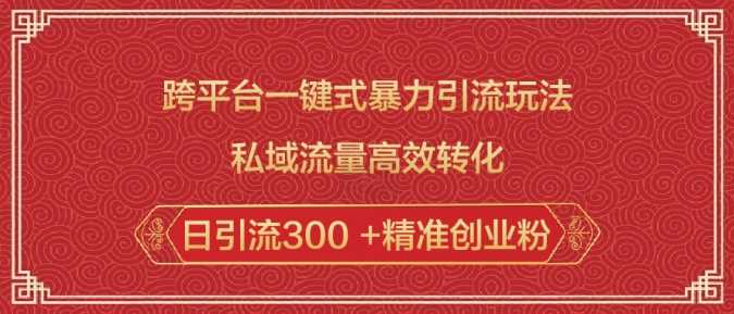 跨平台暴力引流与私域流量高效转化技巧-无双副业