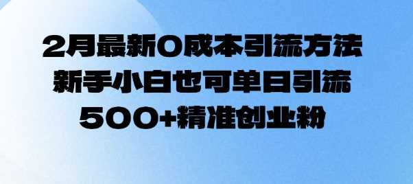 2025年最新0成本引流方法，单日精准引流500+创业粉-无双副业