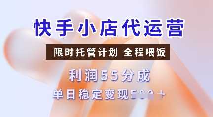 快手小店代运营合作模式，轻松实现稳定收益-无双副业