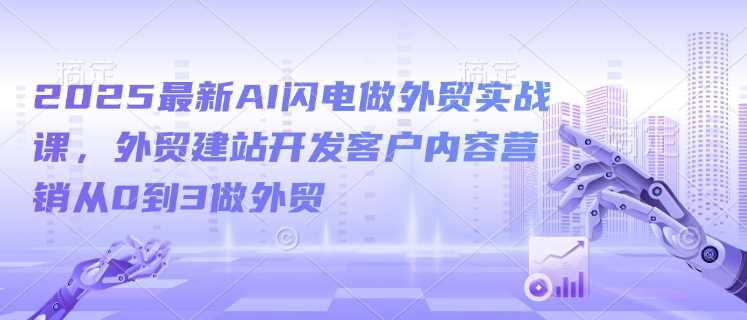 2025最新AI闪电做外贸实战课，外贸建站开发客户内容营销-无双副业