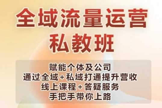全域流量运营与私域变现实战课程-无双副业