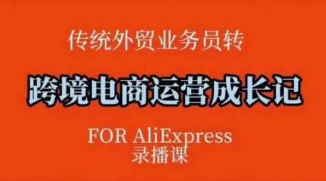 速卖通跨境电商运营全攻略：方法论与实操指南-无双副业