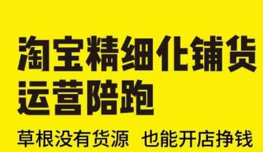 淘宝精细化铺货运营陪跑，草根无货源也能开店挣钱-无双副业