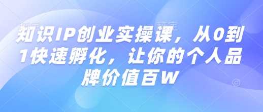 知识IP创业实操课：从0到1打造个人品牌价值-无双副业