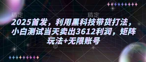 2025黑科技自动化带货，矩阵玩法实现高利润-无双副业