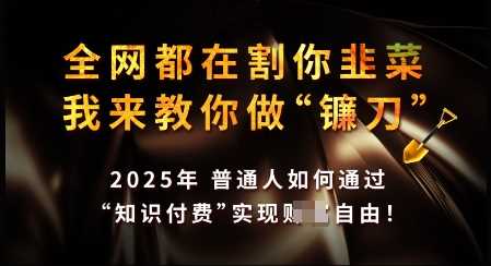 知识付费月入过万秘诀，2025年教你成为行业赢家-无双副业