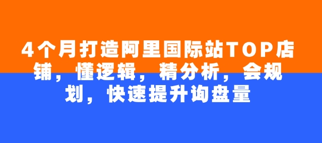 4个月打造阿里国际站TOP店铺，快速提升询盘量-无双副业
