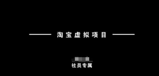 淘宝虚拟项目实操指南，新手快速入门教程-无双副业