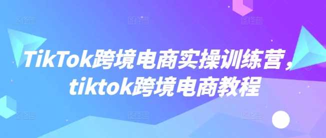 TikTok跨境电商实操教程与运营指南-无双副业