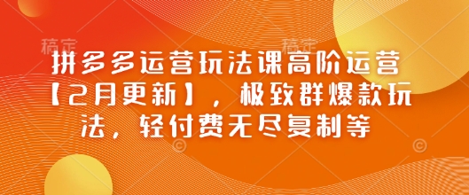 拼多多高阶运营课：轻付费爆款打造与无尽复制技巧-无双副业
