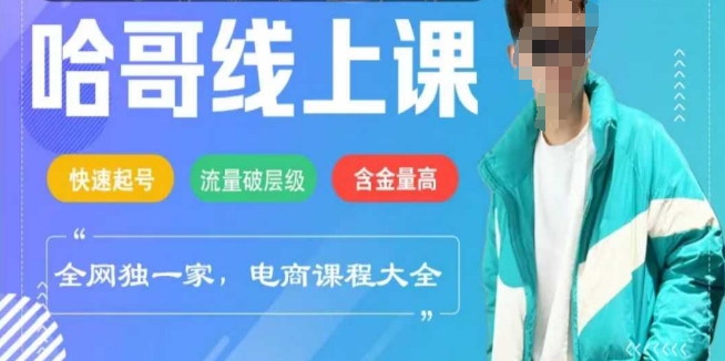 2025年电商线上课程：快速起号与流量突破方法-无双副业