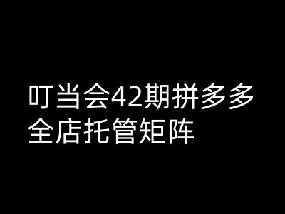 拼多多全店托管矩阵高阶技术解析-无双副业