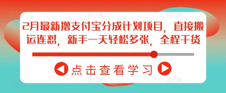 支付宝分成计划项目：新手轻松多张收益技巧-无双副业