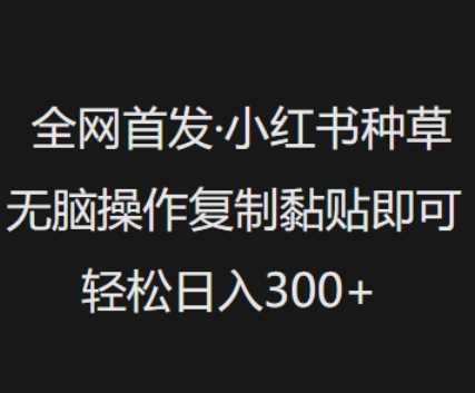小红书种草项目轻松操作，日入300+无压力-无双副业