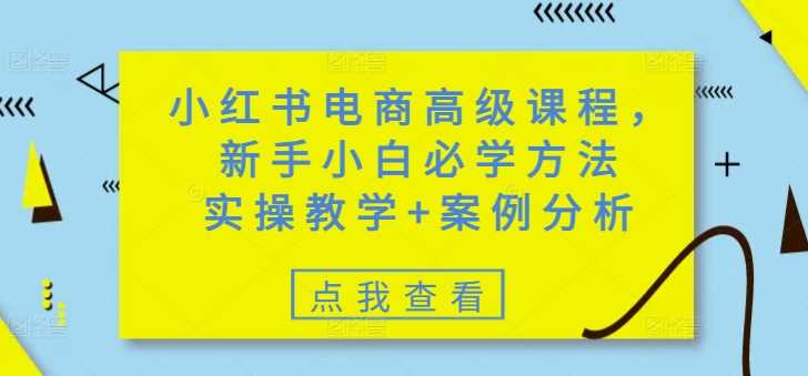 小红书电商运营全攻略：从开店到爆单的实操指南-无双副业