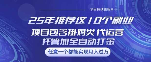 2025年十大副业项目推荐：褂机、代运营、全自动打金-无双副业