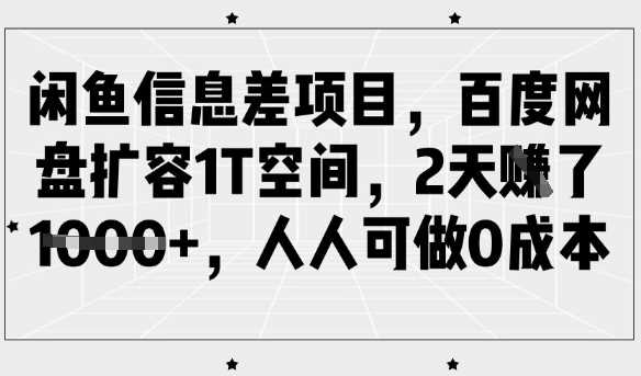 百度网盘扩容1T空间，闲鱼信息差项目轻松收益-无双副业