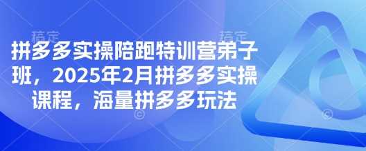 拼多多实操陪跑特训营弟子班课程全解析-无双副业