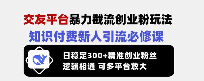 交友平台截流创业粉技巧，知识付费引流必修课-无双副业