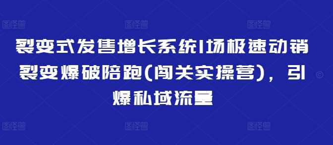 极速动销裂变爆破陪跑系统，引爆私域流量增长-无双副业