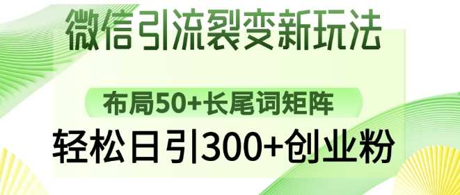 微信引流裂变：50+长尾词矩阵布局，日引300+创业粉-无双副业