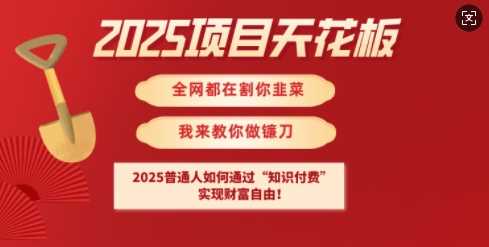 普通人如何通过知识付费实现财务自由-无双副业