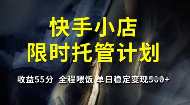 快手小店托管计划：收益五五分成，单日稳定变现5单-无双副业