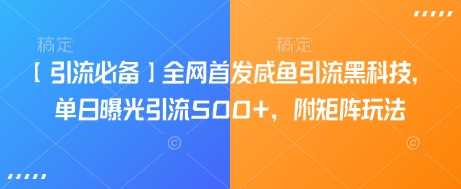 咸鱼引流黑科技揭秘：单日曝光500+，矩阵玩法全解析-无双副业