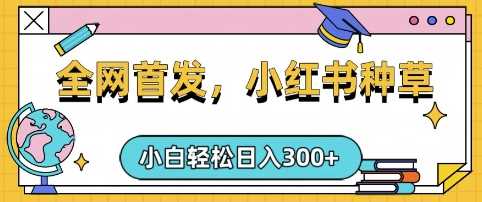 小红书手机项目日入3张，复制黏贴即可，可矩阵操作-无双副业