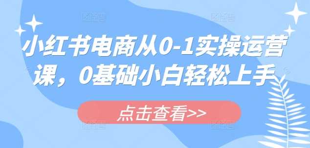 小红书电商运营全攻略，零基础快速入门-无双副业