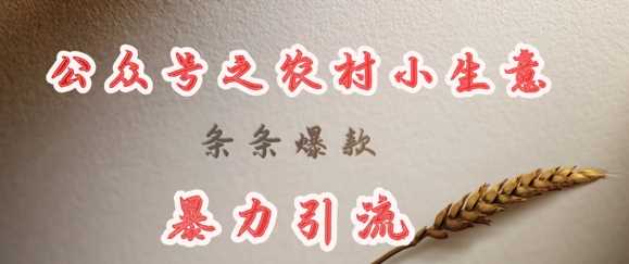 Deepseek助力农村小项目，打造爆款与高效引流-无双副业