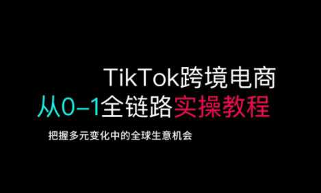 TikTok跨境电商全链路实操教程，把握全球商机-无双副业