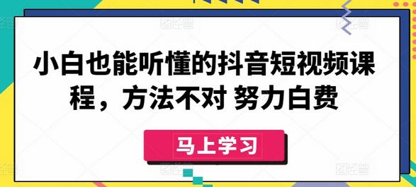 抖音短视频课程：小白也能轻松掌握的运营技巧-无双副业