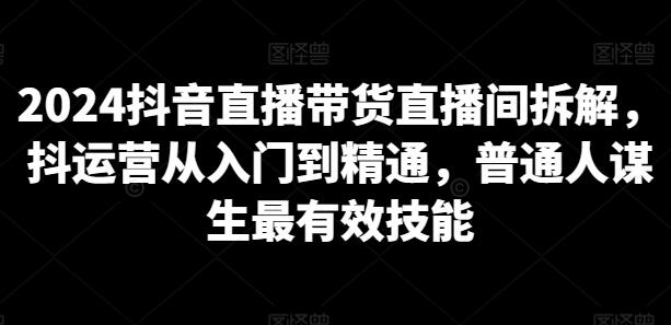 2024抖音直播带货全攻略：从入门到精通-无双副业