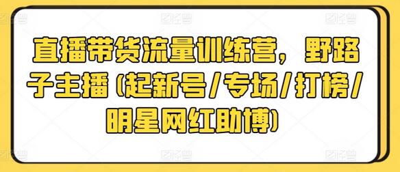直播带货流量提升训练营，助力主播快速成长-无双副业