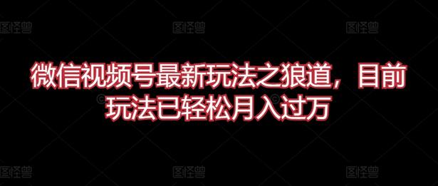 微信视频号狼道玩法轻松月入过万-无双副业