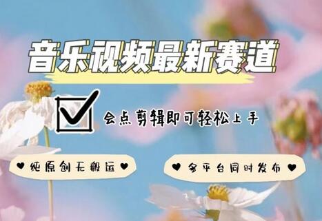 音乐视频制作与变现全攻略，轻松掌握多平台发布技巧-无双副业