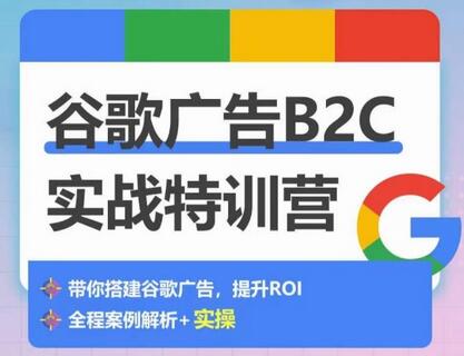 谷歌广告B2C实战：从0到1搭建广告账户，提升ROI稳定增长-无双副业