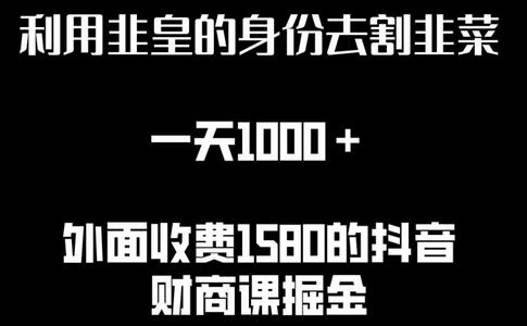 利用非皇身份高效变现，日赚千元详细教程-无双副业