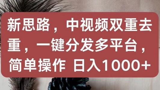 中视频双重去重与多平台分发，轻松实现日入千元-无双副业