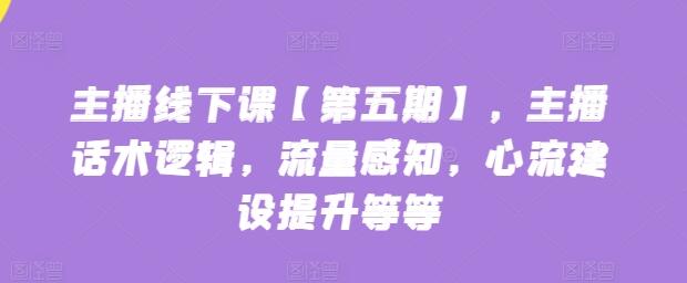 主播话术逻辑与流量感知提升课程-无双副业