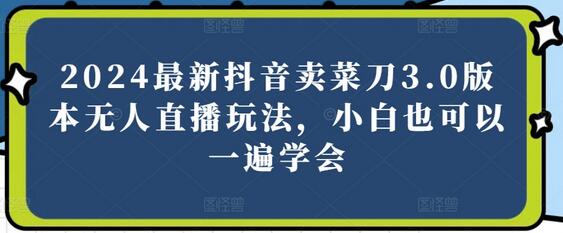 2024抖音无人直播卖菜刀3.0版本，新手快速上手指南-无双副业